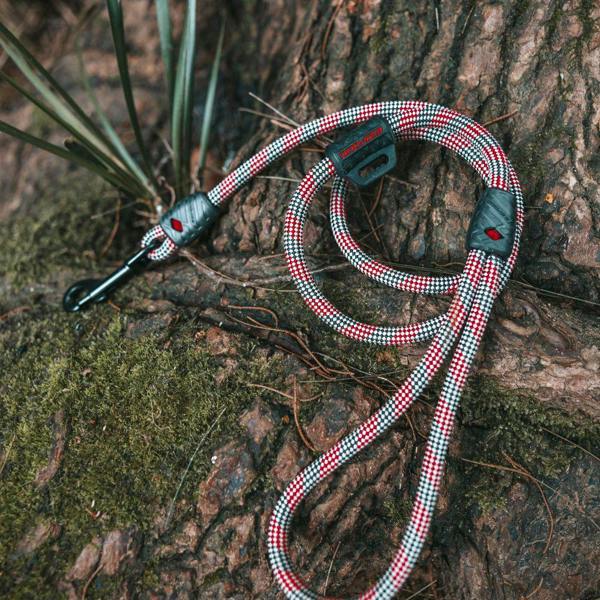 EzyDog Summit Dog Lead in Purple