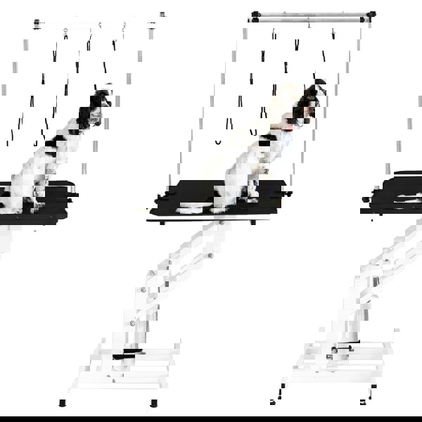 Monstershop White Hydraulic Grooming Table - Black Table Top