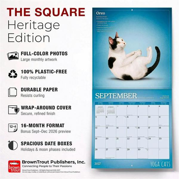 Yoga Cats Calendar 2027, Wall Calendars, Month To View, Humour, Gift
