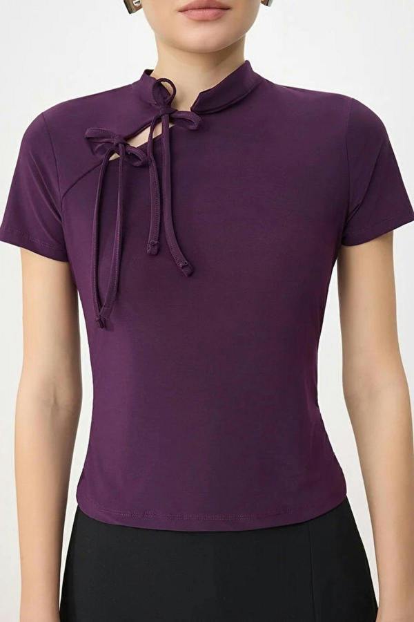 WOVCOR High Neck Tie Detail Fitted Long Sleeve Blouse