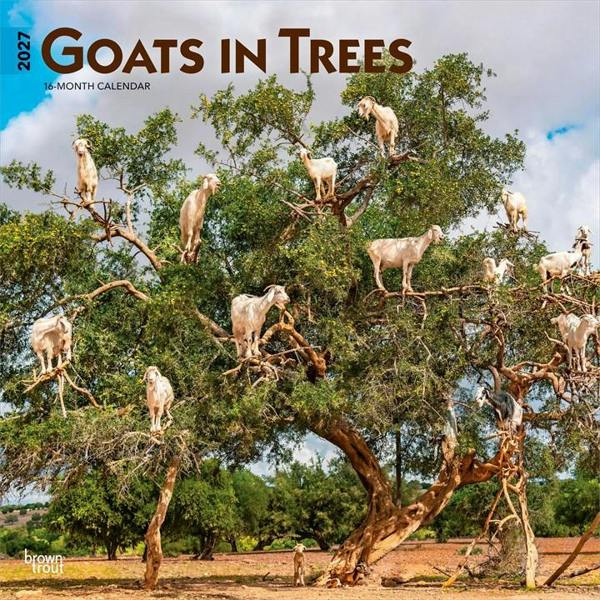 Goats In Trees Calendar 2027, Wall Calendars, Month To View, Animals, Gift