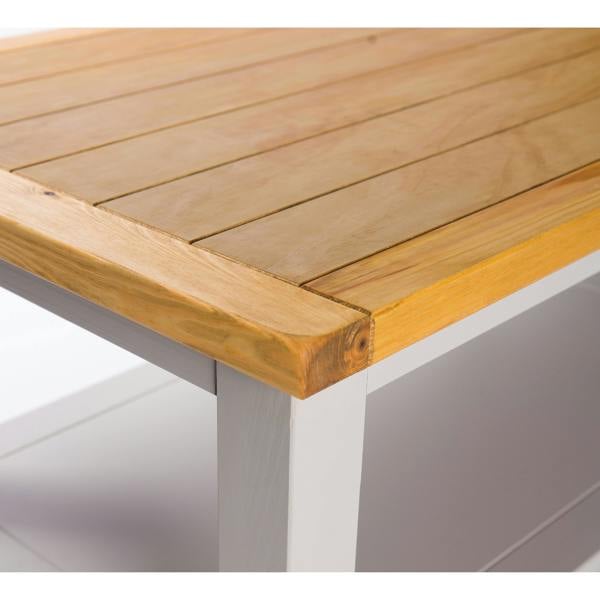 Cabinet Bits Coffee Table with Shelf - H45 W100 D60cm