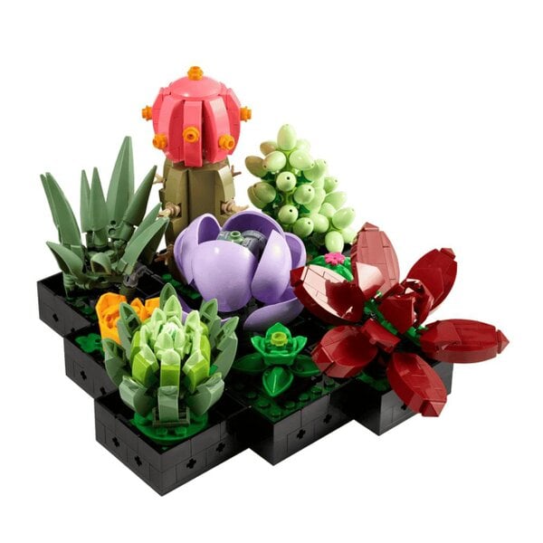LEGO Creator Expert 10309 Botanical collections