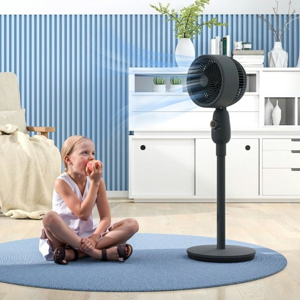 air circulator fan