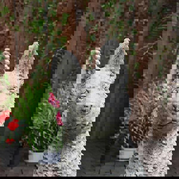 Large Alsatian/German Shepherd Dog Stone Cast Garden Ornament