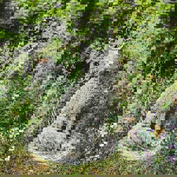 Sitting Fox Stone Fairy Garden Ornament Animal Statue