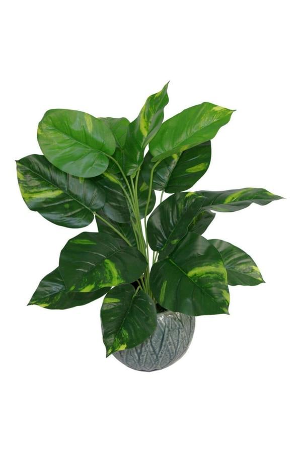 Dyzi Variegated Artificial Houseplant In Black Pot 60cm