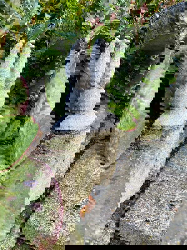 Cute Half Bunny stone garden ornament