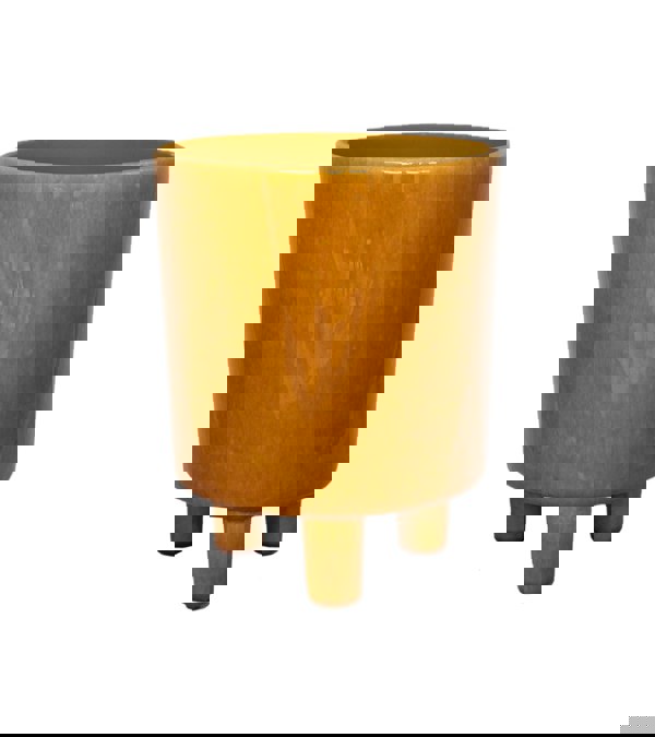 #color_mustard