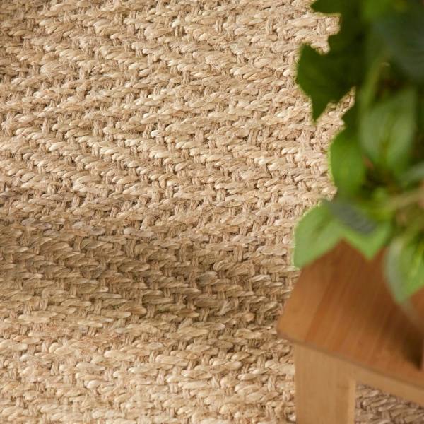 Close-up of a textured beige wall with a plant in the corner
