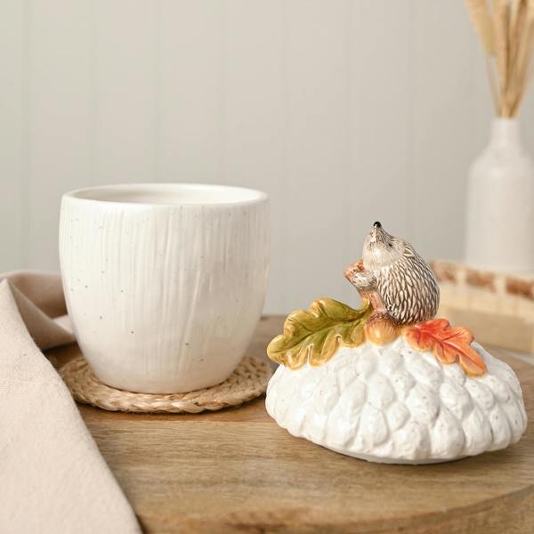 Country Living Hedgehog On An Acorn Storage Jar