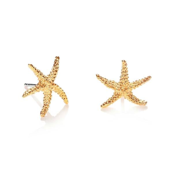 namana Brushed Finish Large Starfish Stud Earrings in Gold for Women