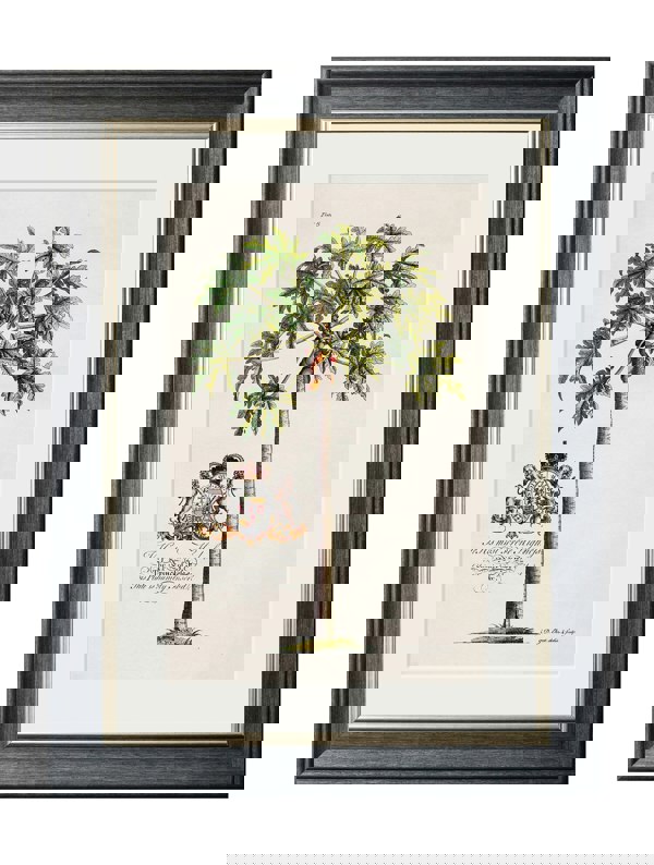 Exceptional Art Studies of Palms
