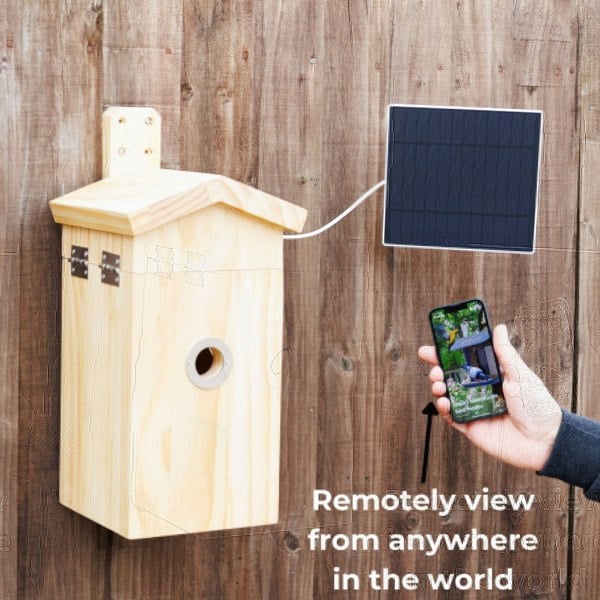 Callow Retail Pine smart bird house and Camera with Solar Panel