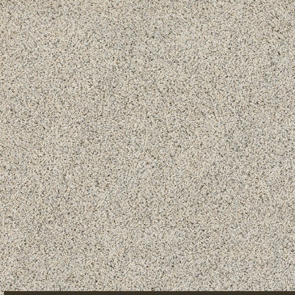 Howler & Scratch Shaggy Rug Stone