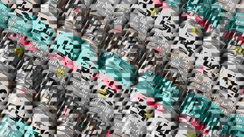 Little Monster from the Id