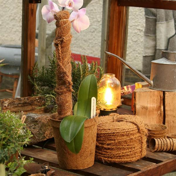 CoirProducts Coir Grow Poles | Moss pole | Coir Fibre Plant Support Stakes for Vegetables, Cheese Plants, Flowers & Climbing Plants