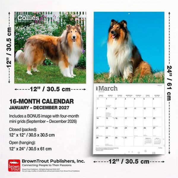 Collies Calendar 2027, Wall Calendars, Month To View, Dogs, Gift