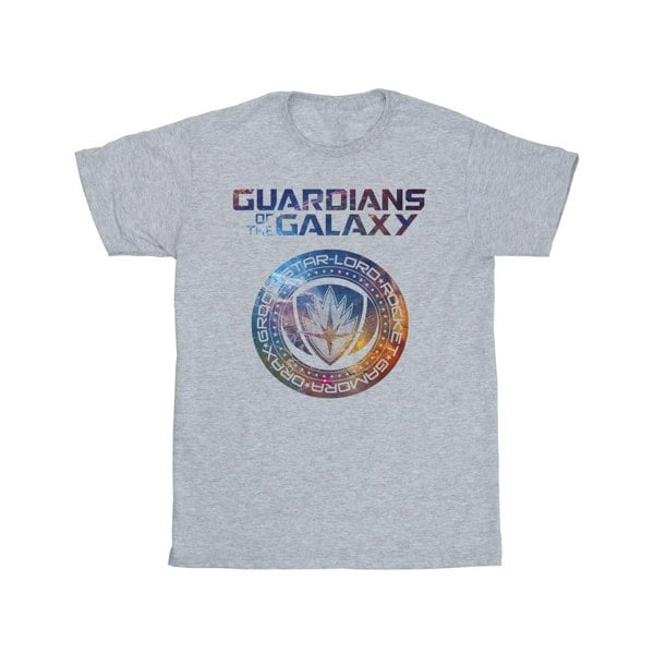 Marvel Boys Guardians Of The Galaxy Stars Fill Logo T-Shirt - Sports Grey