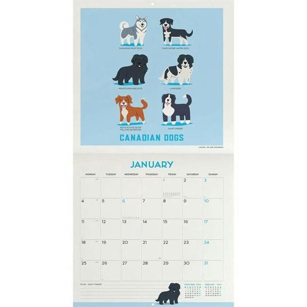Dogs Of The World Calendar 2027, Wall Calendars, Month To View, Dogs, Gift