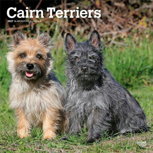 Cairn Terriers Calendar 2027, Wall Calendars, Month To View, Dogs, Gift
