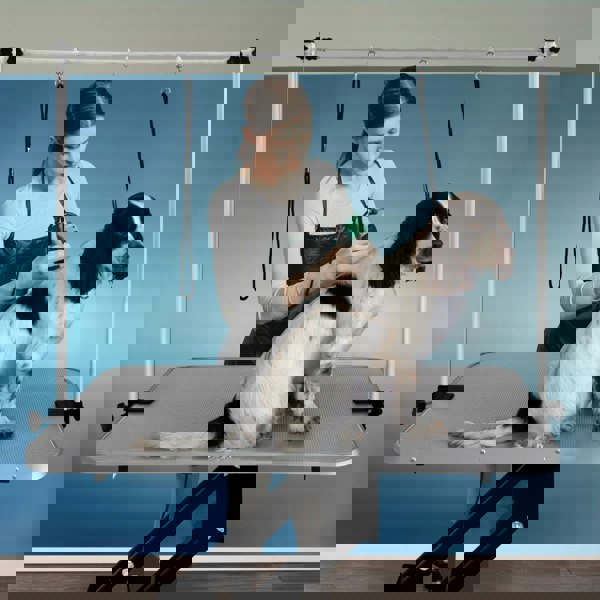 Black hydraulic grooming table with a grey textured top, adjustable height, and a dog being groomed by a stylist in the background