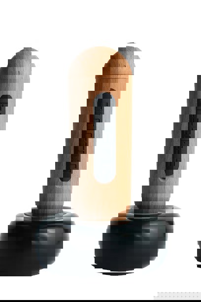 Renpho Eleeels S2A Flat Hot Stone Massage Wand