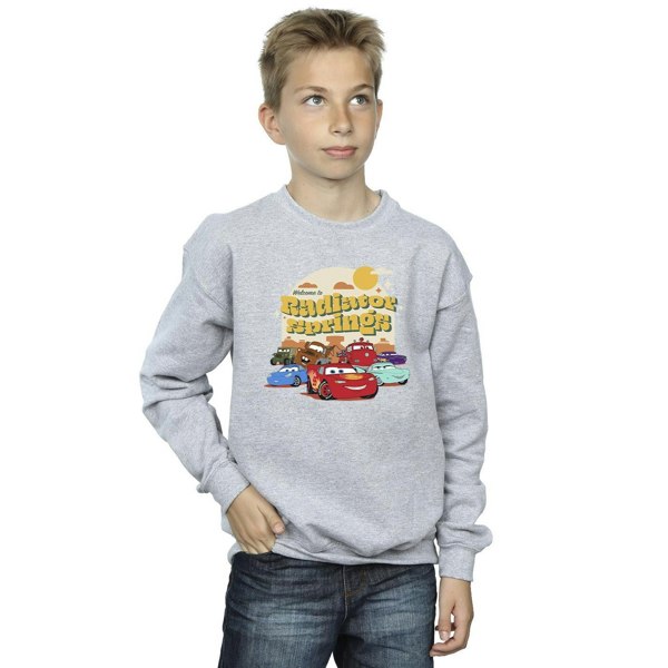 Disney Boys Cars Radiator Springs Group Sweatshirt - Sports Grey