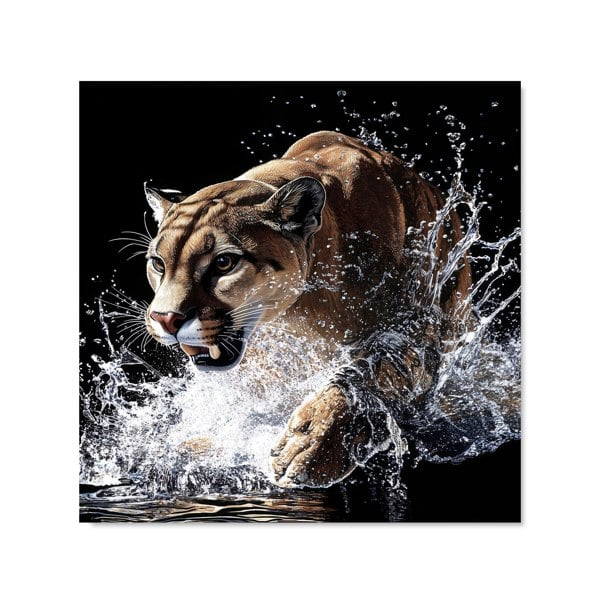 Warren Reed - Designer Puma's Determined Splash Kitchen Splashback