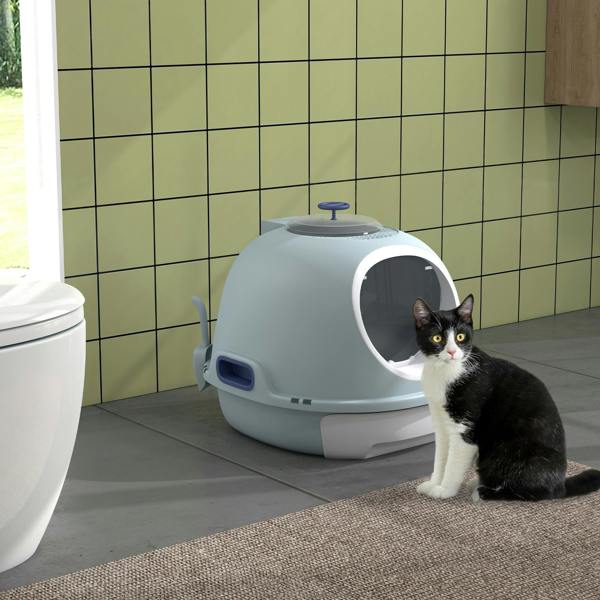Cat Litter Box
