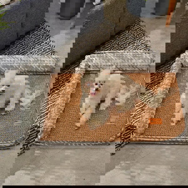 Tacchini Pet Bed, Dog Bed, Cat Bed-Weilai Concept-Weilai Concept