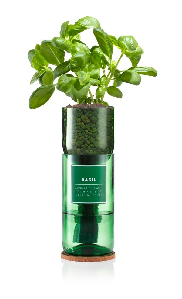 Urban Farm-It Hydro-Herb Basil Kit