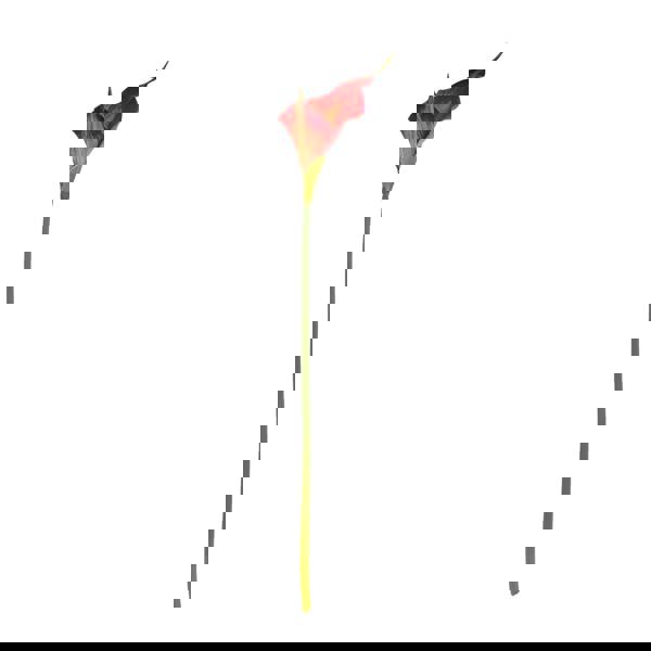 Hill Interiors Fireball Calla Lily Artificial Flower - Red/Red/Green/Green