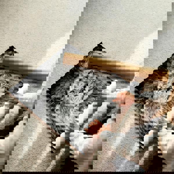 Living Room Wall Art Canvas | Set of 3 African Wildlife Wall art Prints