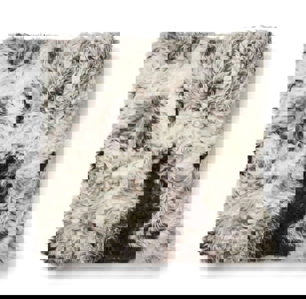 Tigrado Lamb Cushion | Doublesided | 40x40 cm Black/White Mix