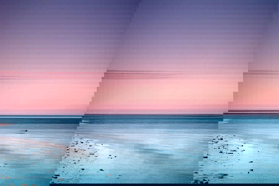 Fernlight Gallery Tranquil Lines