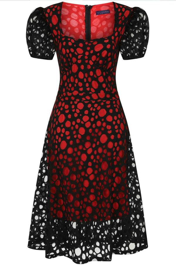 HotSquash A-Line Lace Dress with Contrast Lining