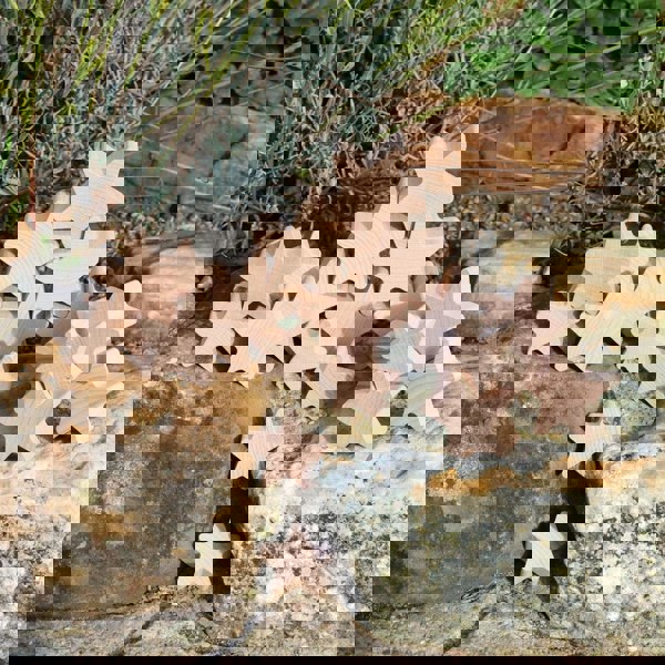 tickit Natural Wooden Stars