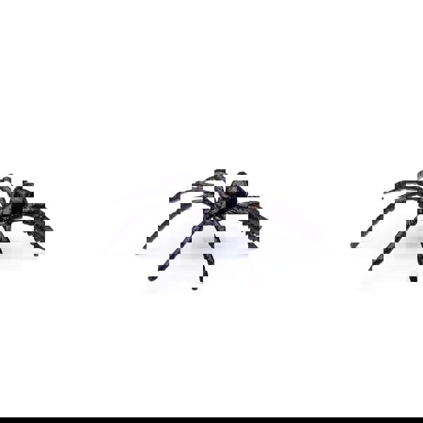 CollectA Box of Mini Insect & Spider