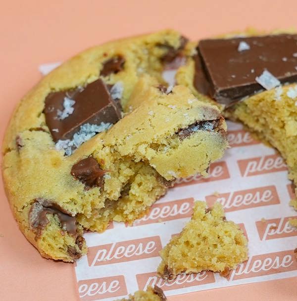 Pleese Milk Chocolate & Sea Salt Cookie
