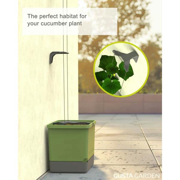 CURT CUCUMBER cucumber planter with water tank