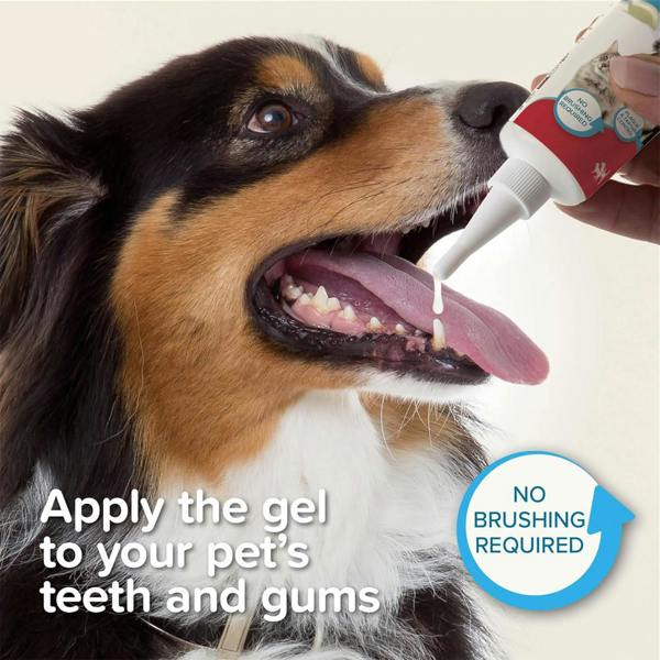 Beaphar Tooth Gel for Dogs & Cats 100g
