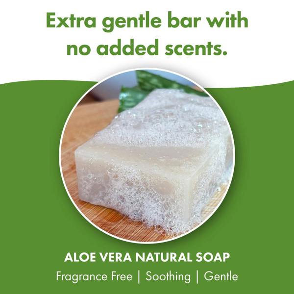 Friendly Soap 3 Pack - Natural Soap - Aloe Vera Natural Soap