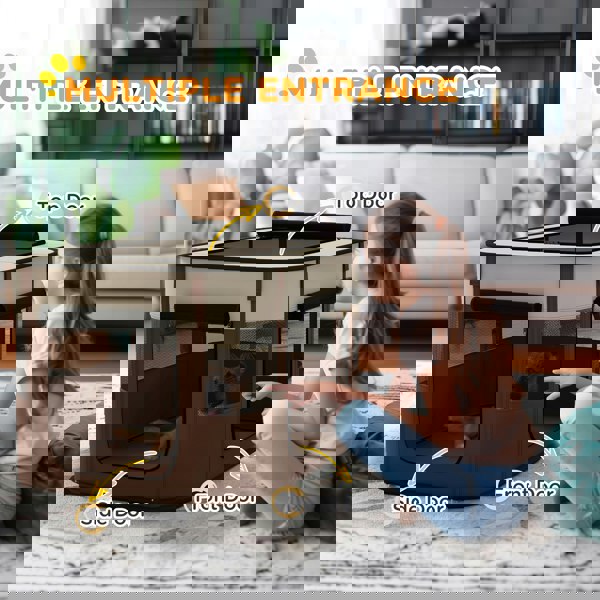 D06-217V01BN