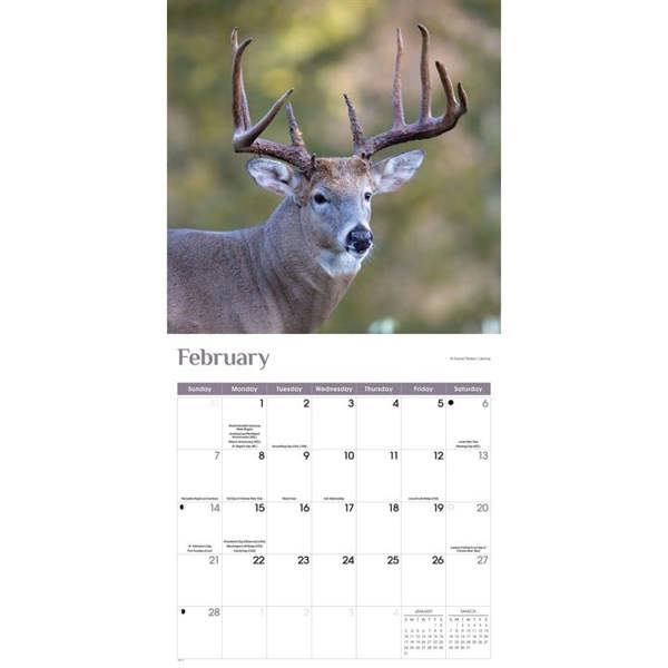 White-Tailed Deer Calendar 2027, Wall Calendars, Month To View, Animals, Gift