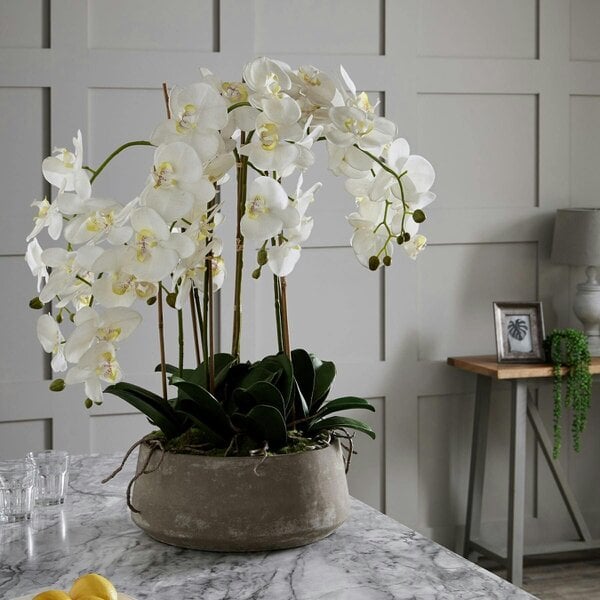 Wyld Haus Artificial Flowers Large White Orchid in Stone Pots