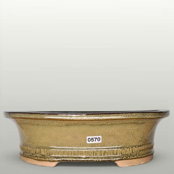 27cm Glazed Bonsai Pot | Oval | 27cm x 22cm x 8cm | Green - Yorkshire Bonsai standardised image 20260605-162953