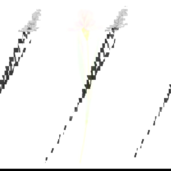 Hill Interiors The Natural Garden Collection Fringed Iris Artificial Flower - Pale Pink