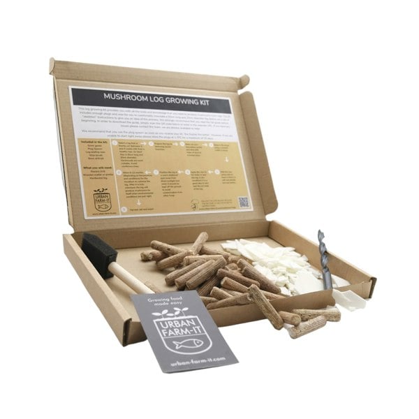 Urban Farm-It Blue-Grey Oyster Mushroom Log Growing Kit