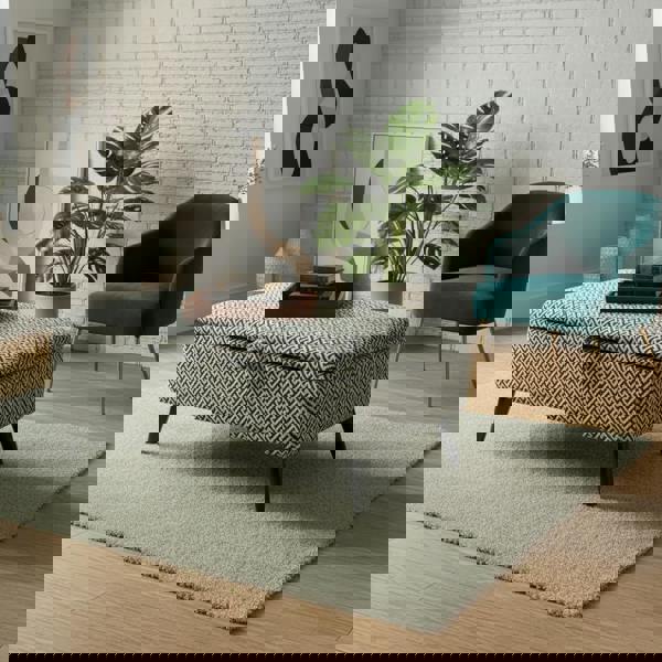 Contemporary storage ottoman bench for living room, bedroom or hallway